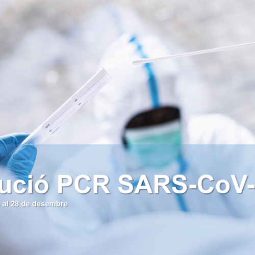 Evolució de les PCR SARS-CoV-2
