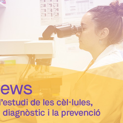 dibinews núm. 17 · Citologia: l’estudi de les cèl·lules, clau per al diagnòstic i la prevenció