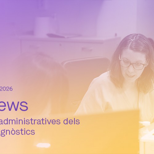Dibinews núm. 22 · Les àrees administratives dels serveis diagnòstics